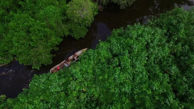 Amazon river crossed by boat with natives coming out of the thick Amazon jungle