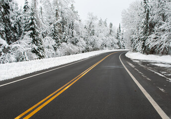 Snow Covered Forest, Route 10 In Hamilton County, Adirondack Forest Preserve, New York, USA