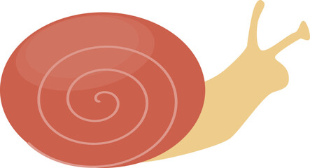 Snail illustration