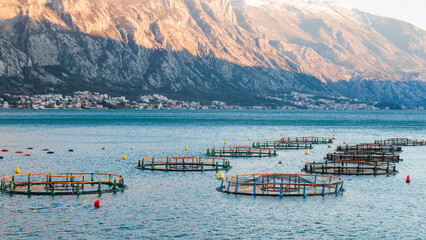 View of sea fish farm cages and fishing nets, farming dorado, sea bream and sea bass, feeding the...