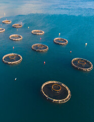 Aerial drone top view of sea fish farm cages and fishing nets, farming dorado, sea bream and sea...