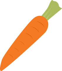Orange carrot illustration