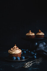 Chocolate cupcakes with cream and blueberry on a dark background.. Selective focus. Rustic style.