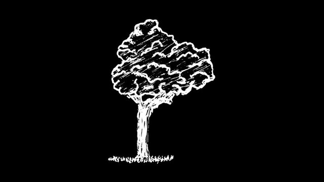 Wiggling Hand Drawn Tree 5