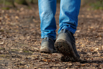 Hiking concept, Selective focus of a man legs with blue jean and shoes in the move, Low angle of people walk in the forest with nature path, Hobby, Leisure activities, Sport and recreation background.