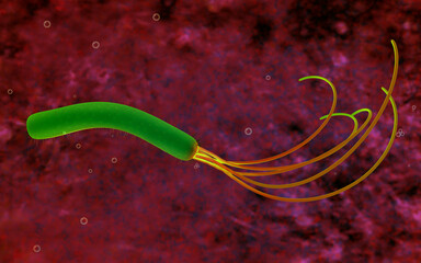 3d rendering - Pseudomonas aeruginosa bacteria