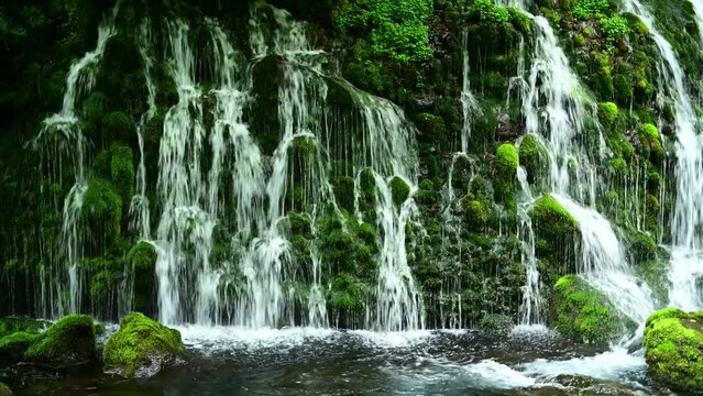 苔が美しい元滝伏流水