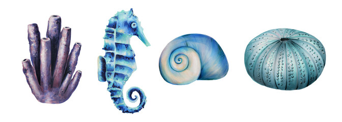 Watercolor set with coral, sea horse and urchin, shells. Hand painting clipart underwater life objects on a white isolated background. For designers, decoration, postcards, wrapping paper © Natalia
