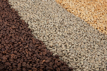 Collage of coffee beans showing various stages of roasting Italian roast with raw. Step and Circle...
