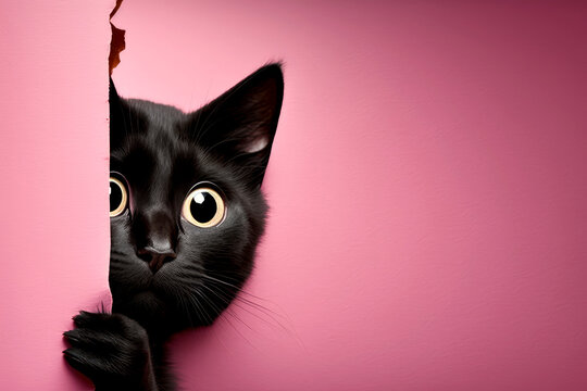 Frightened black cat peeks out from behind a corner on a pink background, with copy space. Generative AI