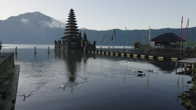 Lockdown Shot Of Ducks Swimming In Lake By Pura Jati Batur Against Clear Sky - Bali, Indonesia