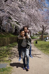 Asian couple walking with happiness among pink Japanese cherry blossom and blue sky in parks, famous blossom blooming festival, man carrying woman