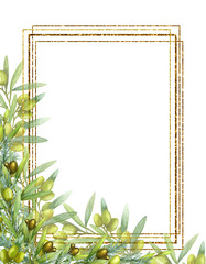 Border, frame, banner olive branch with fruits, watercolor illustration. The drawing is isolated. Design for postcards, packaging and fabrics.
