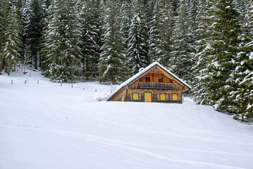 Fototapeta na wymiar Alpine wooden hut in the deep snow surrounded by pine forest