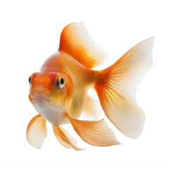 Fotobehang goldfish on a transparent background png isolated Generative Ai © Eduardo