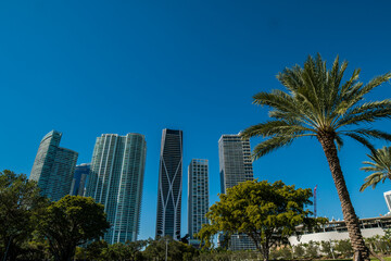 Fototapeta na wymiar Downtown of the city of Miami, USA. Miami Skyline. modern building in miami city florida usa america. 