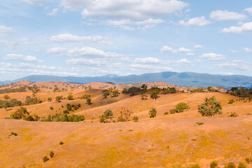 Fototapeta premium Australian countryside sunburnt country