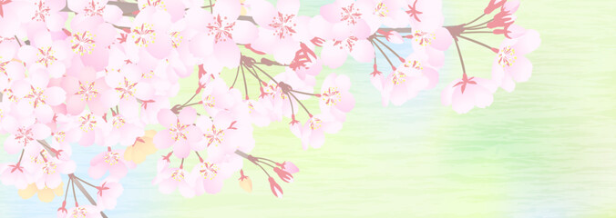Fototapeta na wymiar 明るくぼけた新緑背景と桜花の枝のイラスト