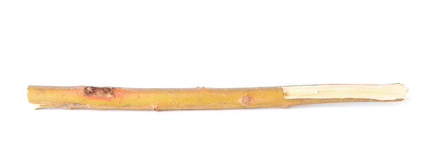 Old dry tree twig isolated on white