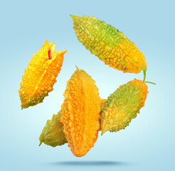 Delicious ripe bitter melons falling on pale light blue background