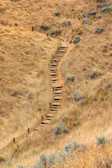 Fototapeta na wymiar Mountain trail with wooden steps on a grassland slope in Boise, Idaho. Hiking trail on a slope in the middle of grassland with wild shrubs.