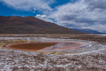 Laguna del Salar de Antofalla, Catamarca, Argentina