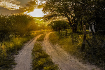 perspectiva cinematográfica de un camino rural en el ocaso