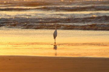 Nascer do sol na praia