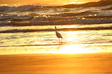 Nascer do sol na praia