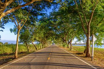 The path to the lake is surrounded by trees