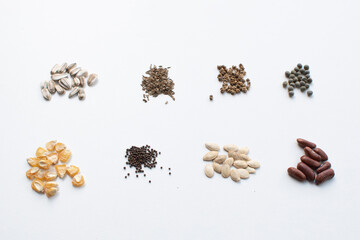 Collection of natural organic seeds isolated on white background
