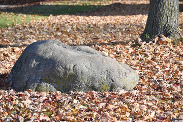 Big Rock by the Tree