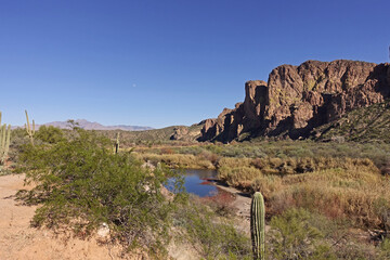 Salt River scenic landscapes delight the eye.  The banks of the Salt River in Tonto National Forest offer dramatic and breathtaking views. - 569753945
