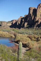 Salt River scenic landscapes delight the eye.  The banks of the Salt River in Tonto National Forest offer dramatic and breathtaking views. - 569754143