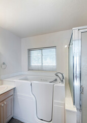 Vertical Walk-in bathtub with elderly and handicapped accessibility. There is a vanity sink with mirrors on the right and shower stall with frosted glass and aluminum frames.