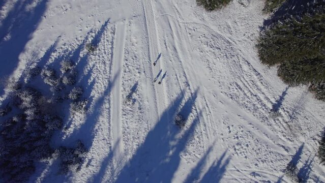 bird view of people's shadows hiking on snow in the mountains