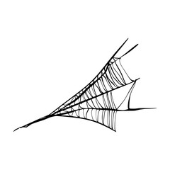Spider webs