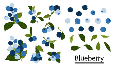 blueberries