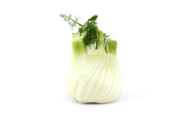 Single fennel bulb with leaves over white
