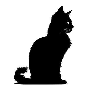 vector image of a black cat