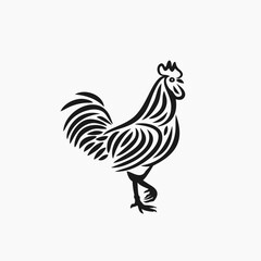 rooster lines drawing illustration vector
