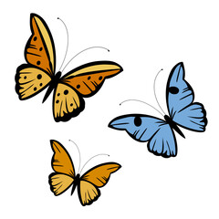 butterflies in diferent colors
