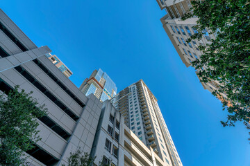 Looking up at modern housing in Austin Texas with exterior of a parking garage.View from the ground of trees, residential buildings and covered parking lot against blue sky on a sunny day.