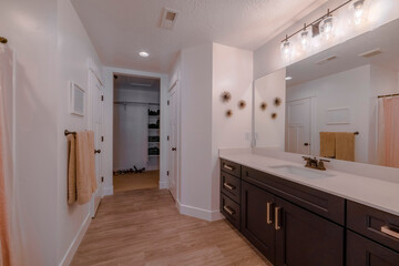 Utah- Master bathroom with wood flooring and walk-in closet. There is a vanity sink on the right with ornaments on the wall near the two closed white doors beside the walk-in closet at the back.