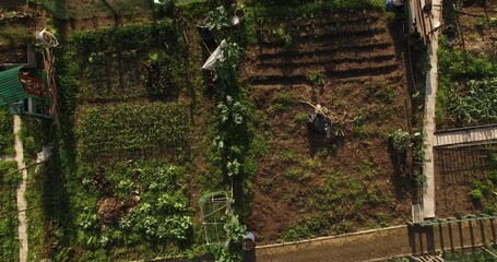 Flying Over Community garden in the City
