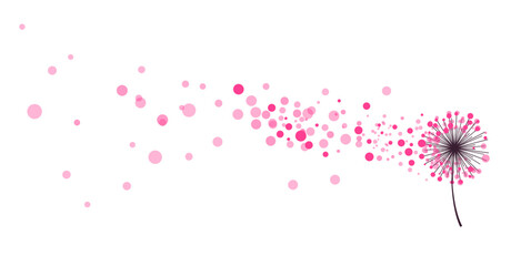 Stylized pink dandelion flowers. Vector illustration