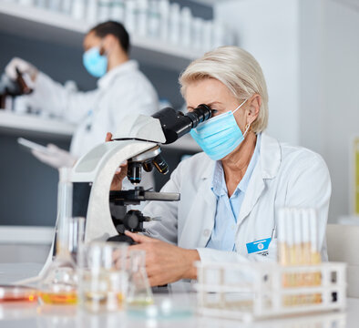 Scientist woman, microscope and bacteria analysis in laboratory for research at pharma company. Science team, man and data analytics in biotechnology for goals, vision and study to stop covid in lab