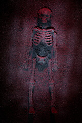 Skeleton still life photographs of homemade charcoal covered fake human skull and bones