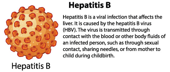 Hepatitis B with explanation © GraphicsRF