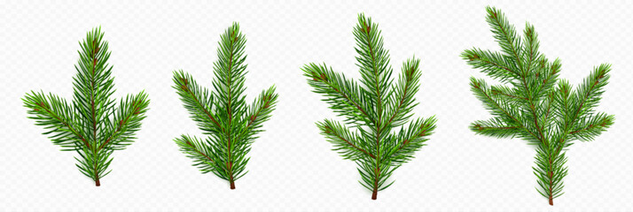 Naklejka premium Pine tree branch set realistic vector illustration. Fir twigs with green needles isolated on transparent background. Winter holiday evergreen decoration, spruce or cedar elements,